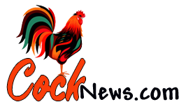 Cock News